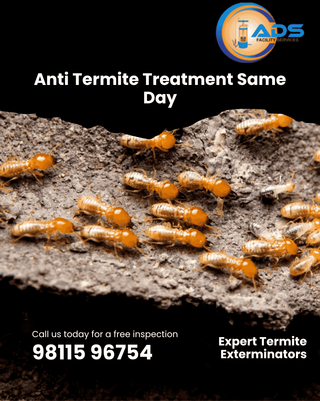 Termite Pest Control Services