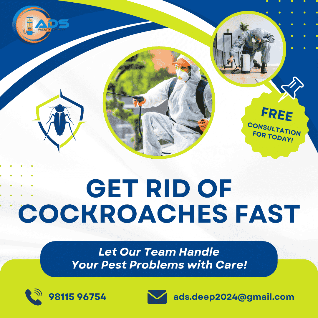 Residential Pest Control Services